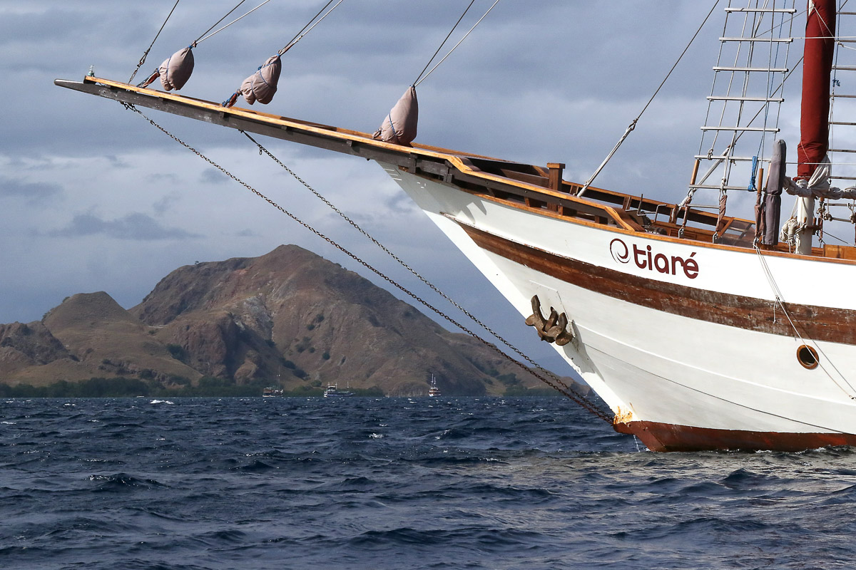 Tiare Liveaboard Indonesia 19