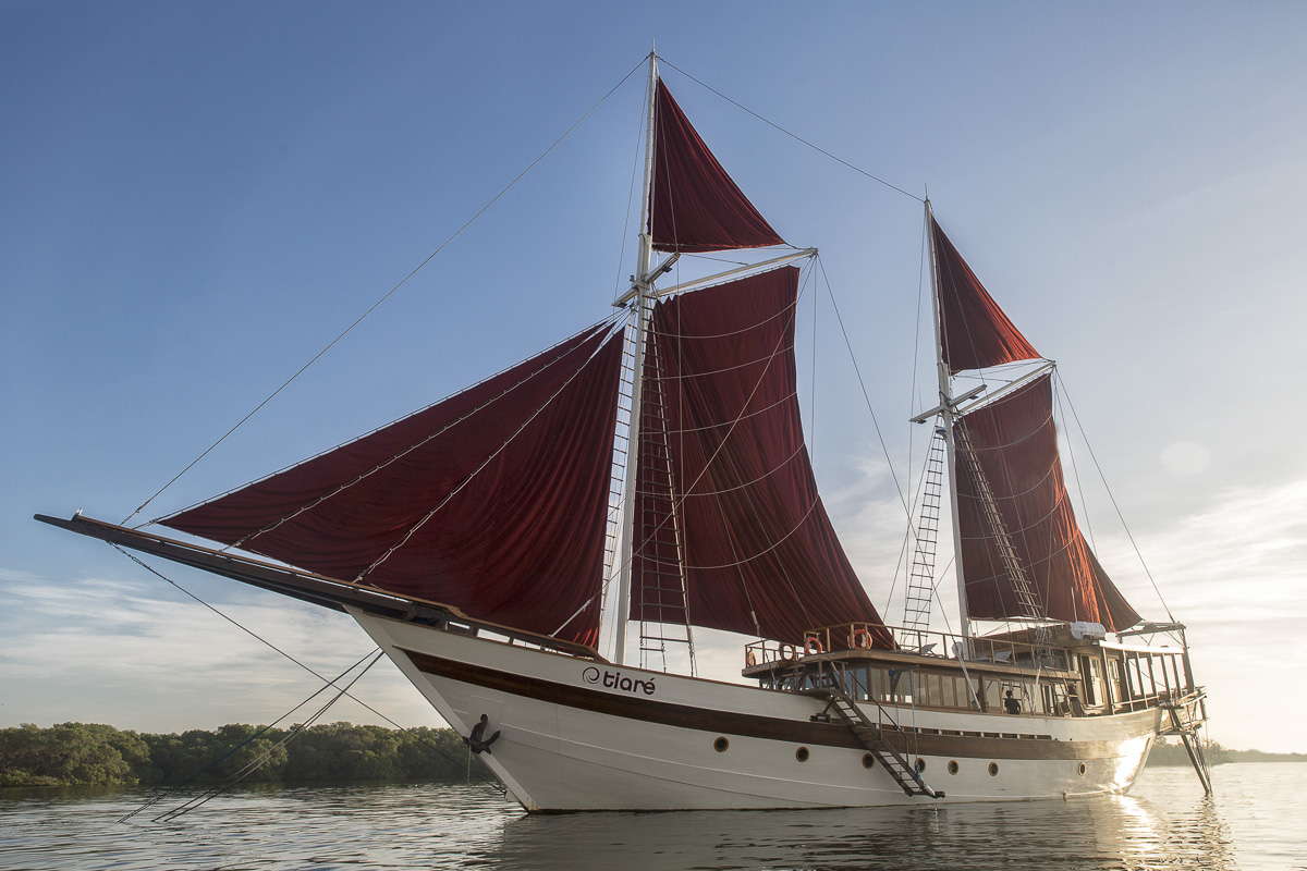 Tiare Liveaboard Indonesia 20