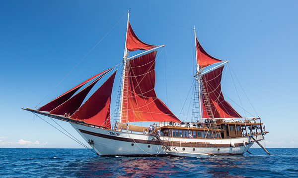 Tiare combines quality liveaboard diving facilities with a few of the finer things.