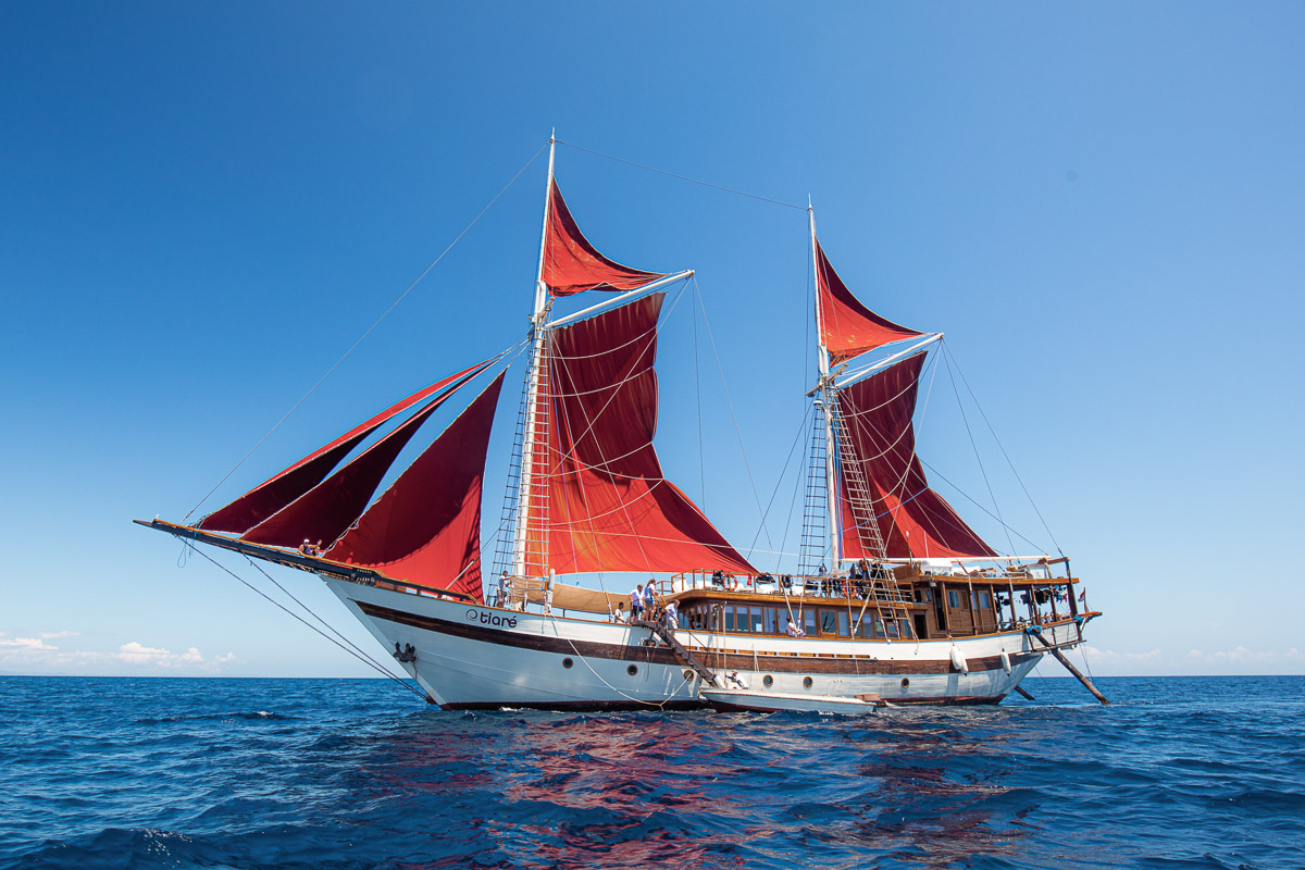 Tiare Liveaboard Indonesia