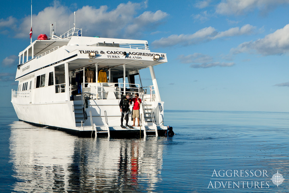 Turks Caicos Aggressor Ii Liveaboard 4