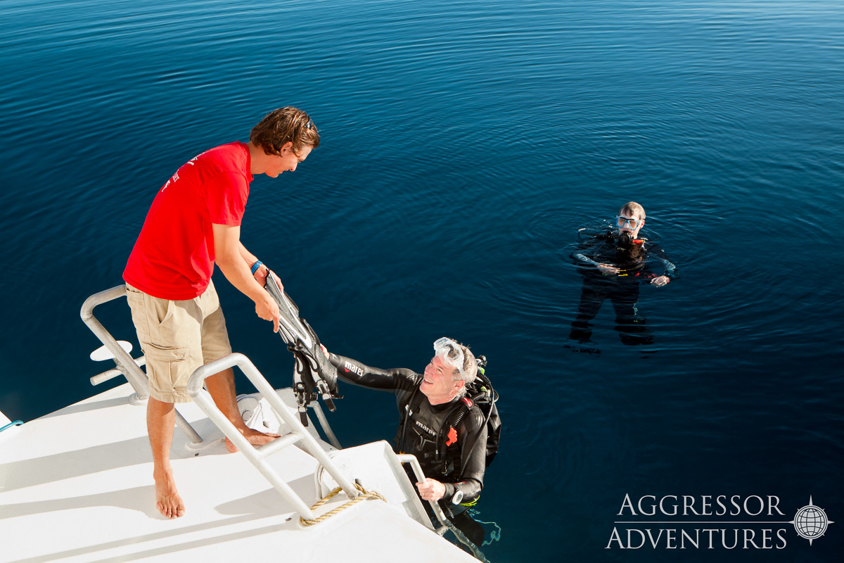 Turks Caicos Aggressor Ii Liveaboard 5