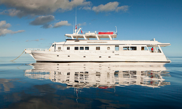 Turks and Caicos Explorer II Caribbean Liveaboard