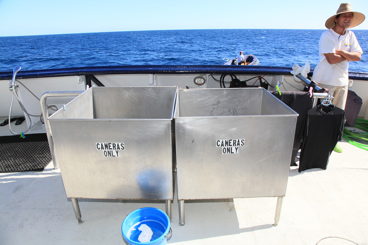 Valentina Mexico Liveaboard 11