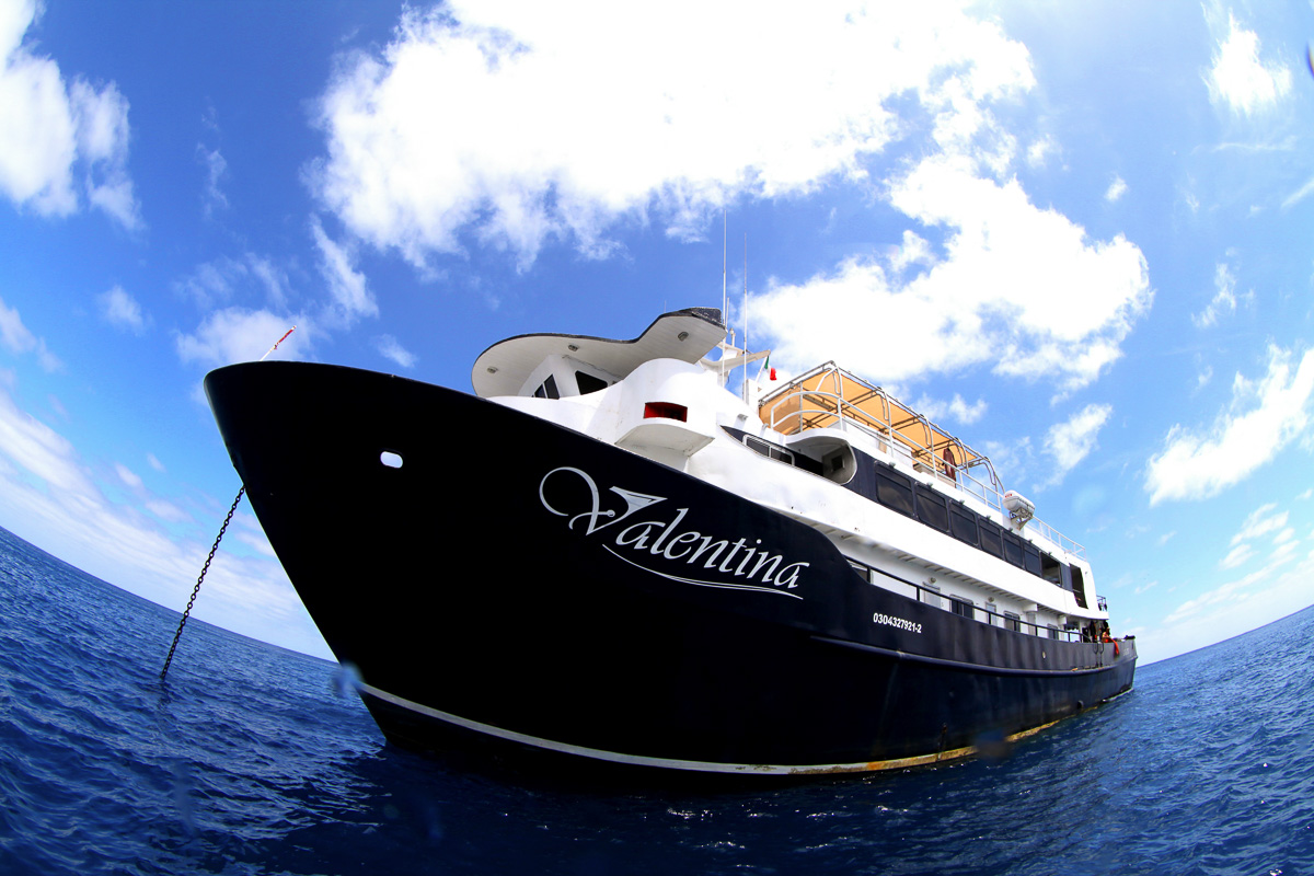 Valentina Mexico Liveaboard 7