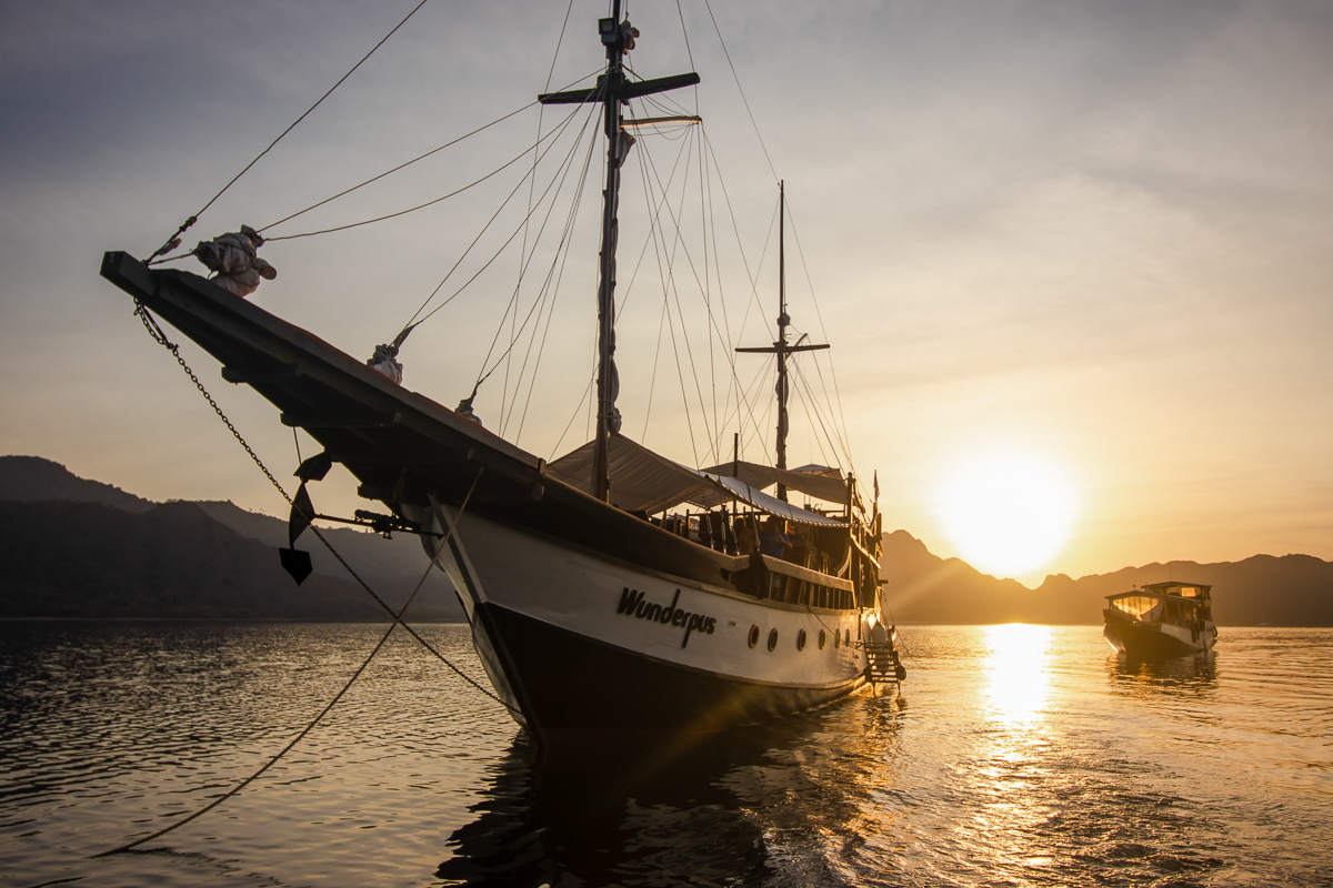 Wunderpus Liveaboard Komodo Indonesia 10