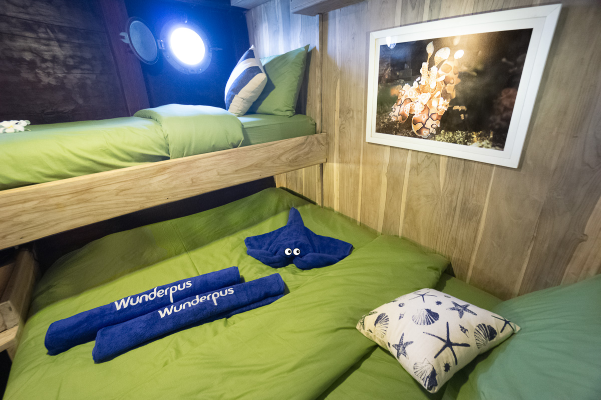 Wunderpus Liveaboard Komodo Indonesia 5