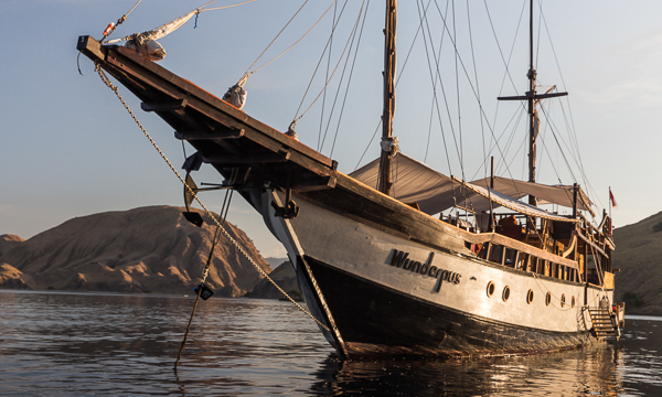 The award-winning Wunderpus is a great value liveaboard in Komodo