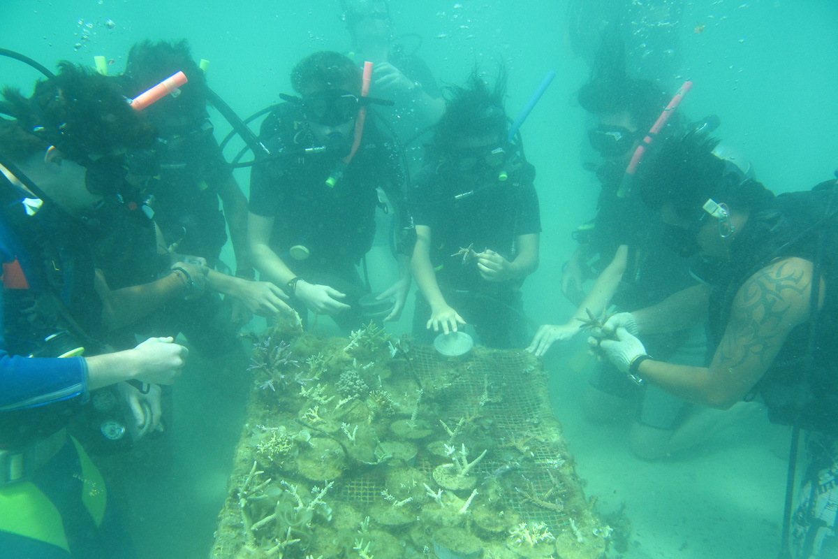 Borneo Divers Mamutik Dive Centre 8