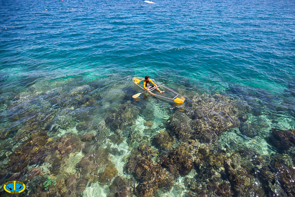 Borneo Divers Mabul 23