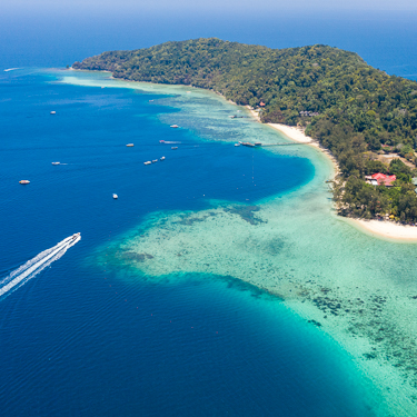 Encounter whale sharks in Kota Kinabalu Image