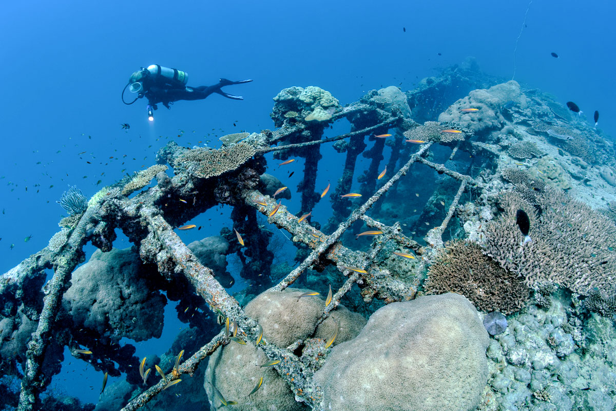 The British Loyalty Wreck in Addu Atoll