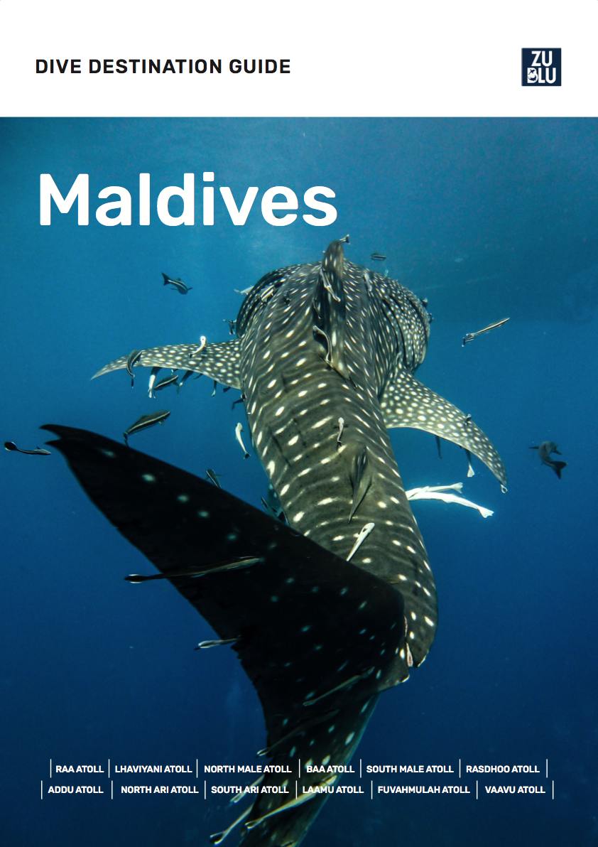 Maldives Dive Destination Guide Cover