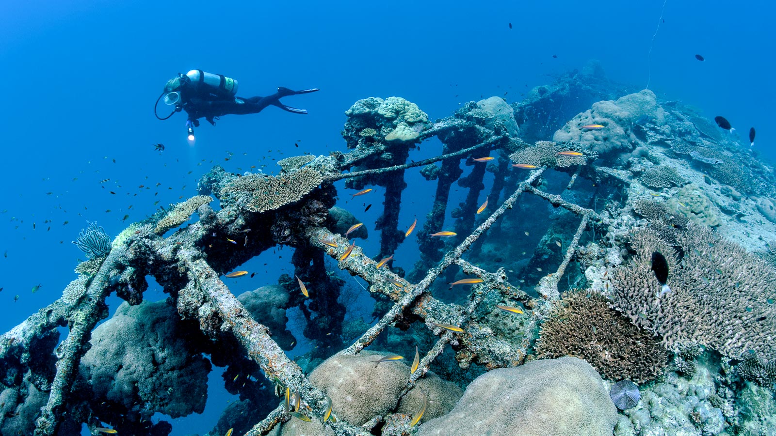 Scuba diving in Addu Atoll | ZuBlu