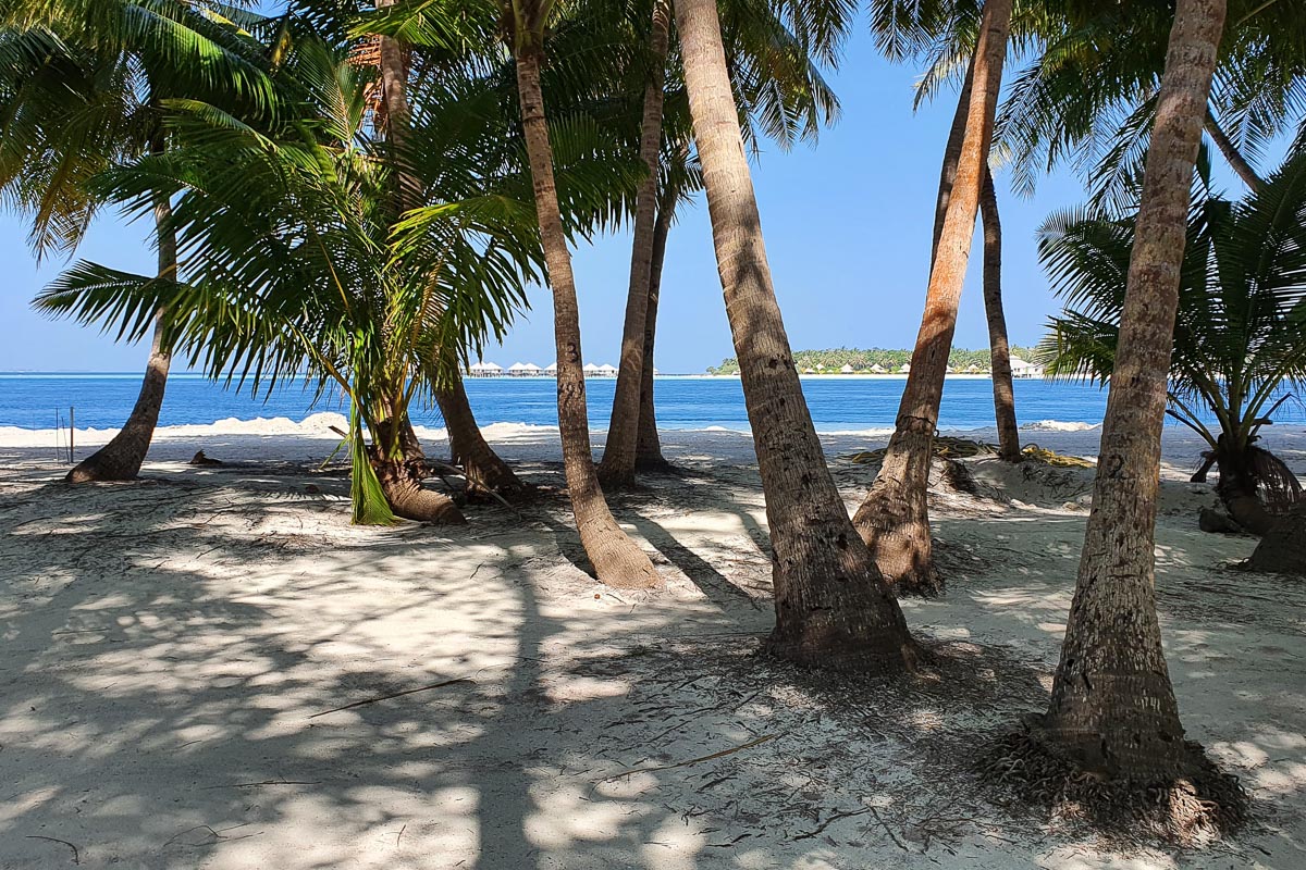 Fehi Velaa Baa Atoll Maldives 3