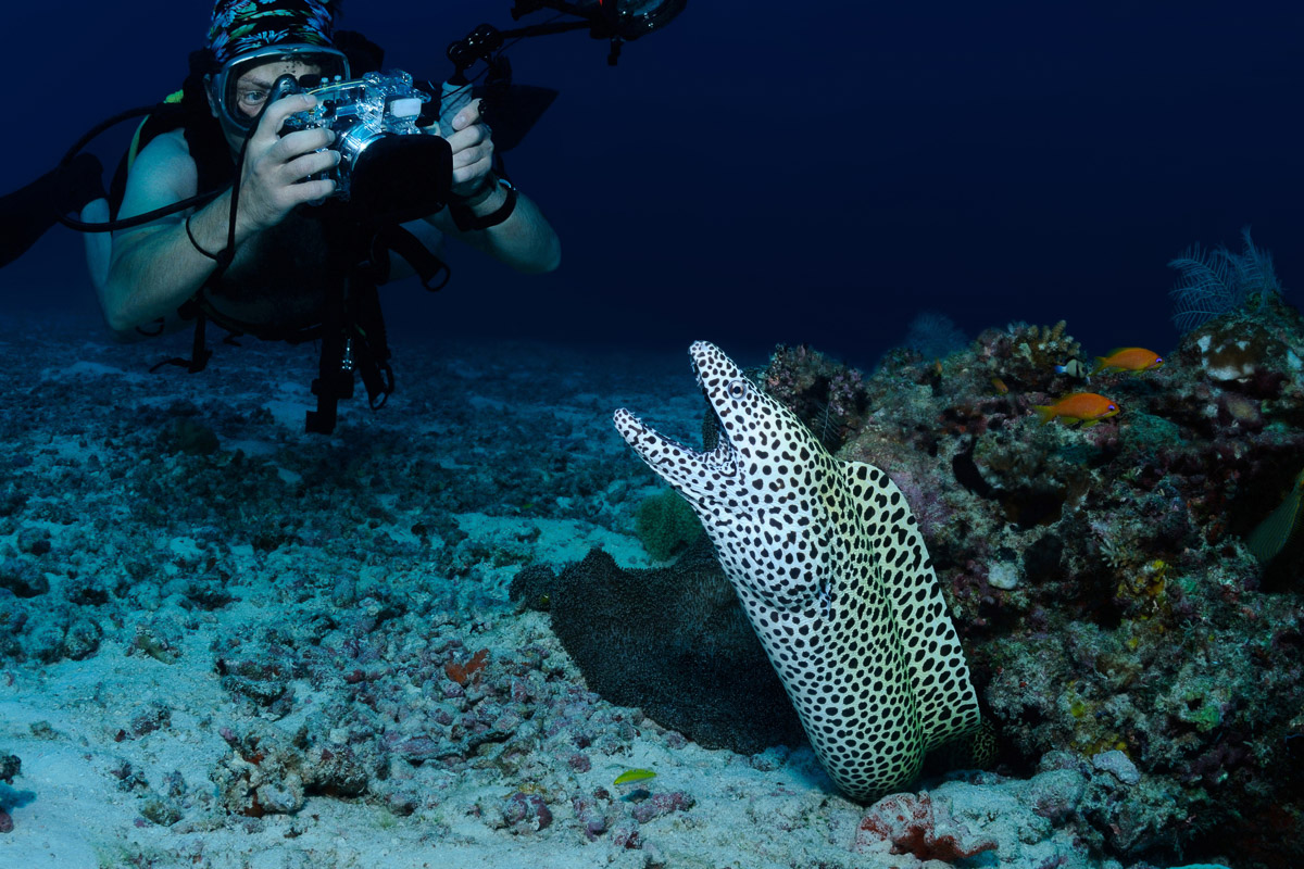 Huvadhoo Atoll Scuba Diving Maldives 6