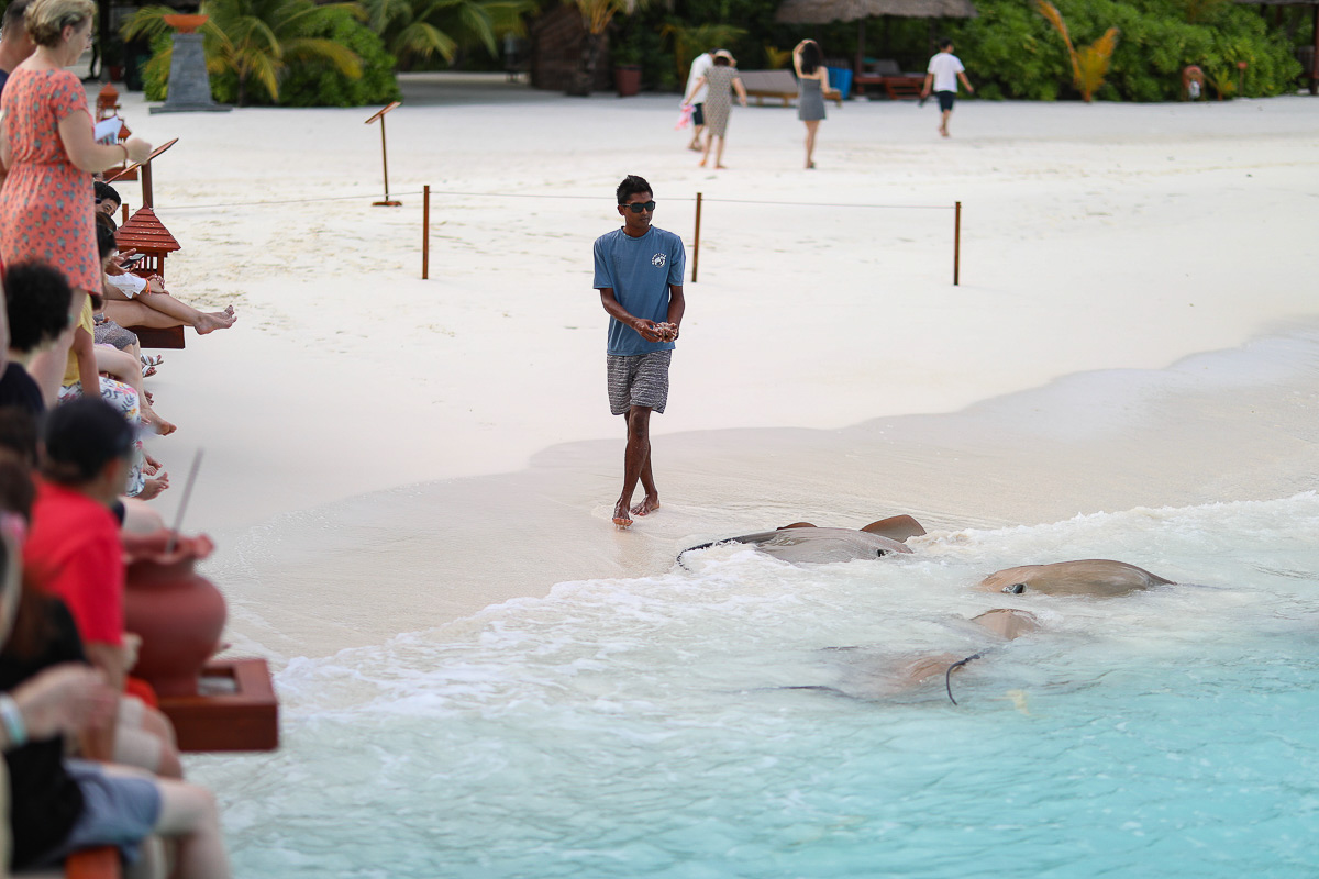 Banyan Tree Vabbinfaru Maldives 25