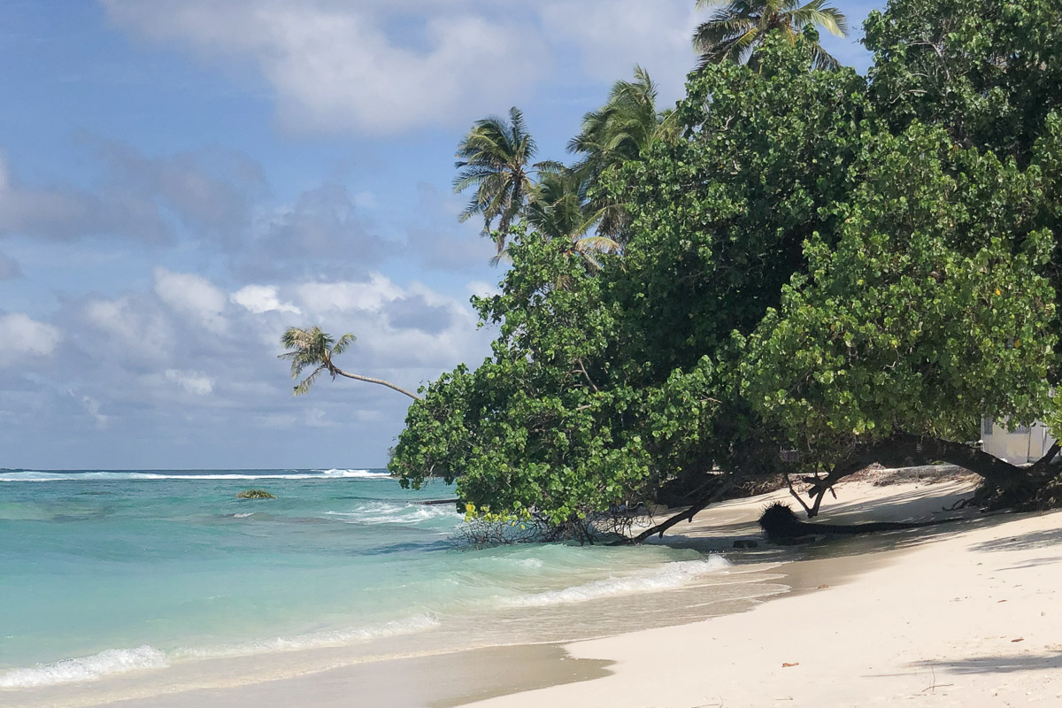 Canopus Retreats Thulusdhoo North Male Maldives 15