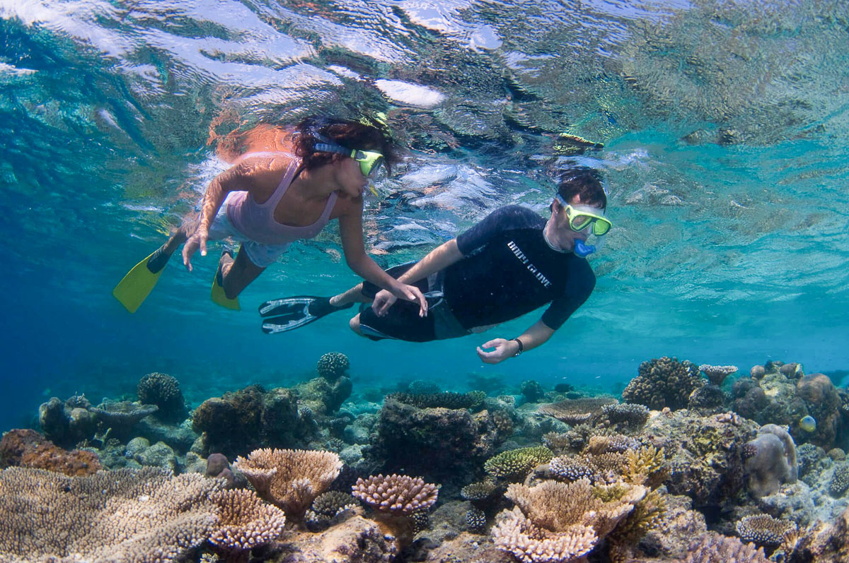 North Male Maldives Scuba Diving 4