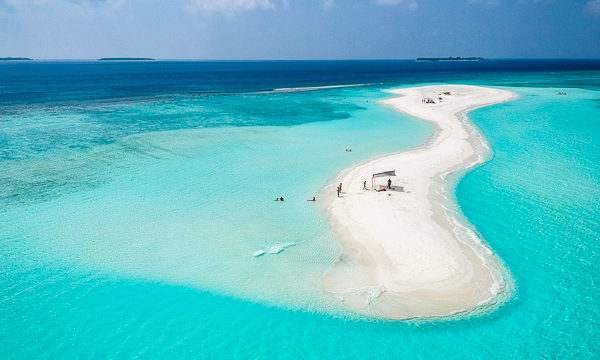 https://www.zubludiving.com/images/Maldives/Rasdhoo-Atoll/Drop-Dive/Drop-Dive-Maldives-Thumb.jpg