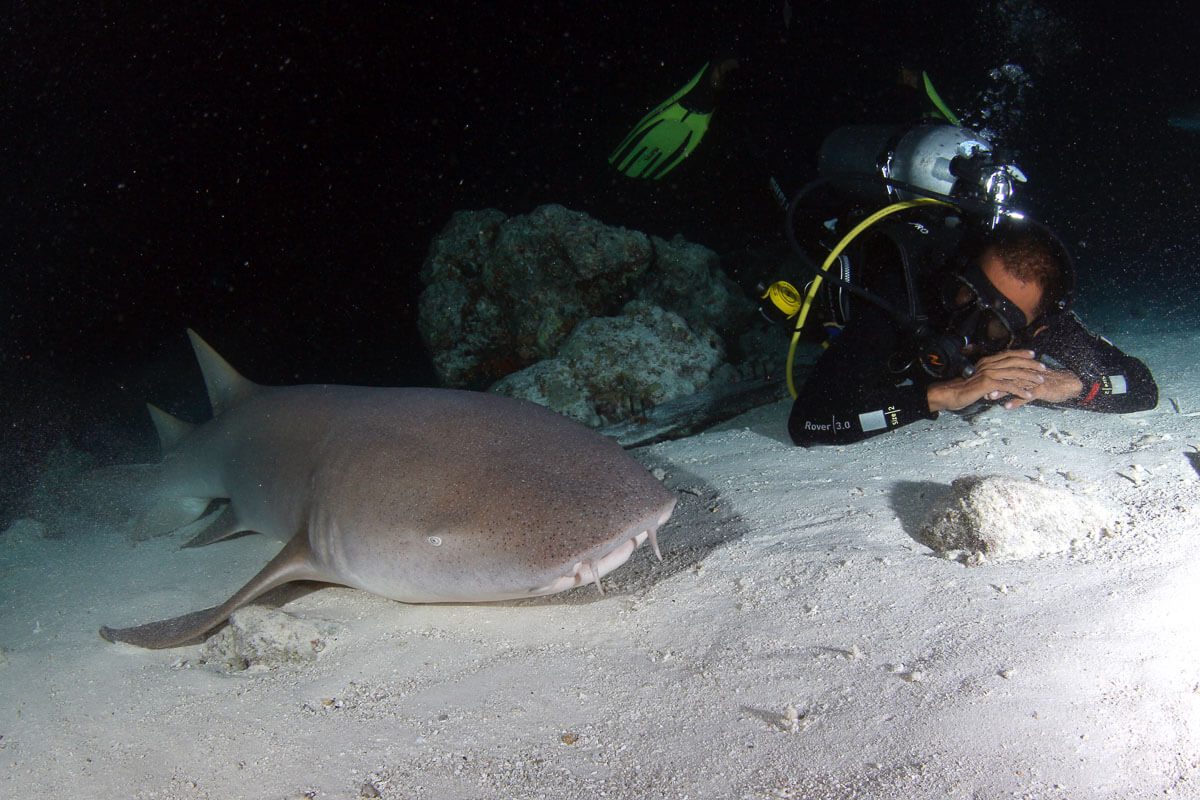 Rasdhoo Dive Lodge03
