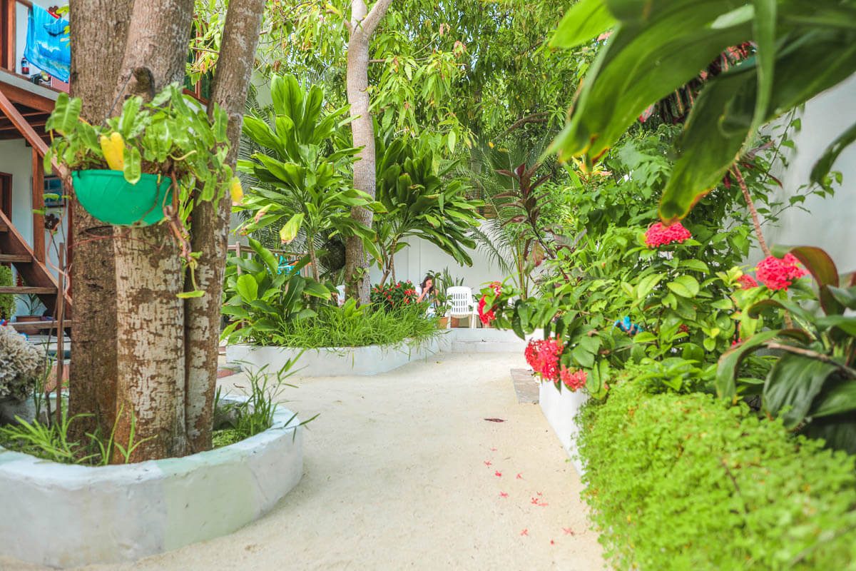 Rasdhoo Dive Lodge15