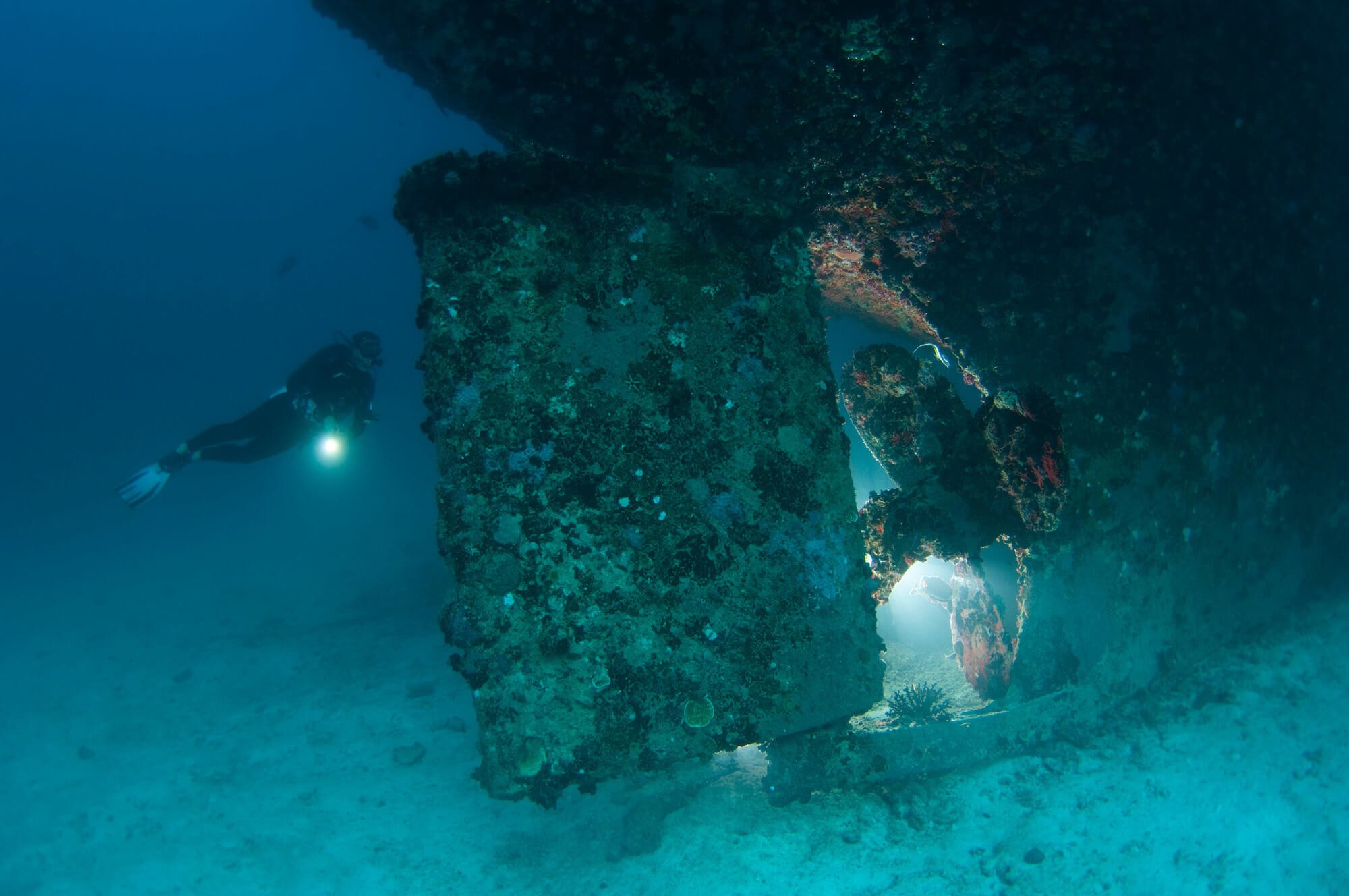 Maldives South Ari Machachafushi Wreck 3