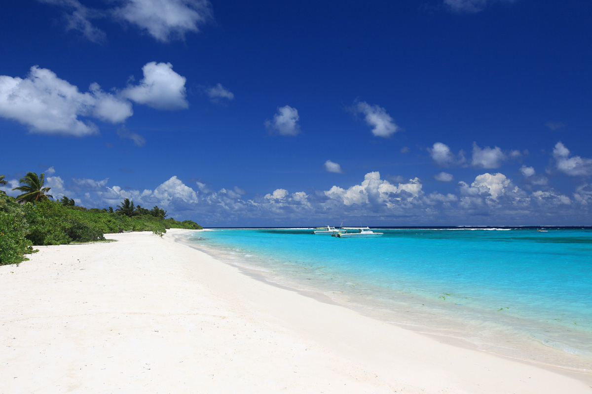 Laamu Atoll Maldives Scuba Diving 8