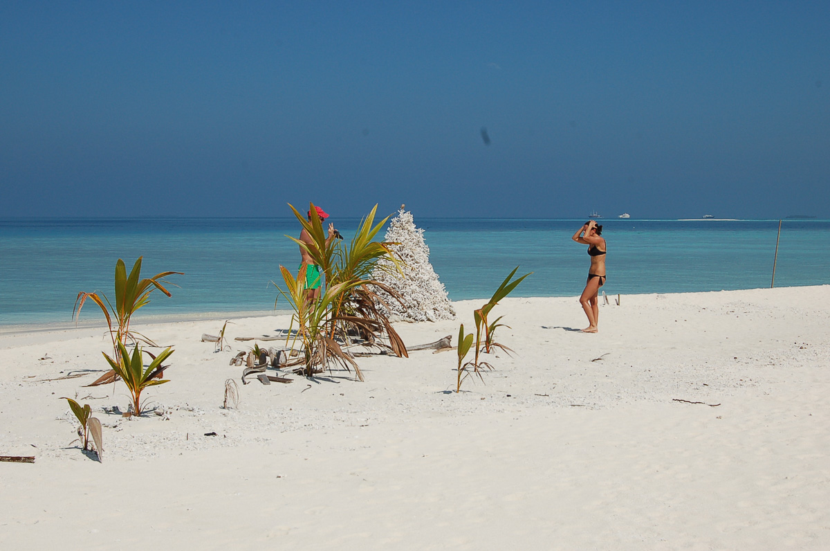 Vaali Beach Lodge Maldives 15