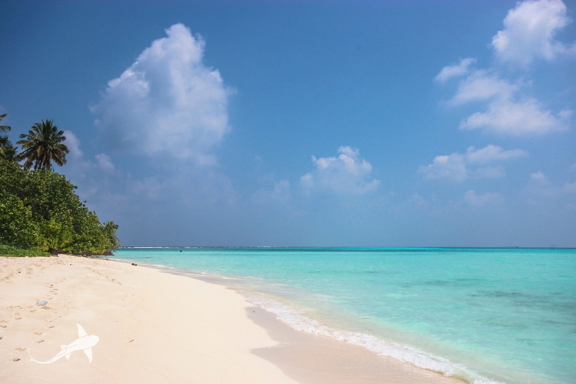 Vaavu Fulidhoo Beach