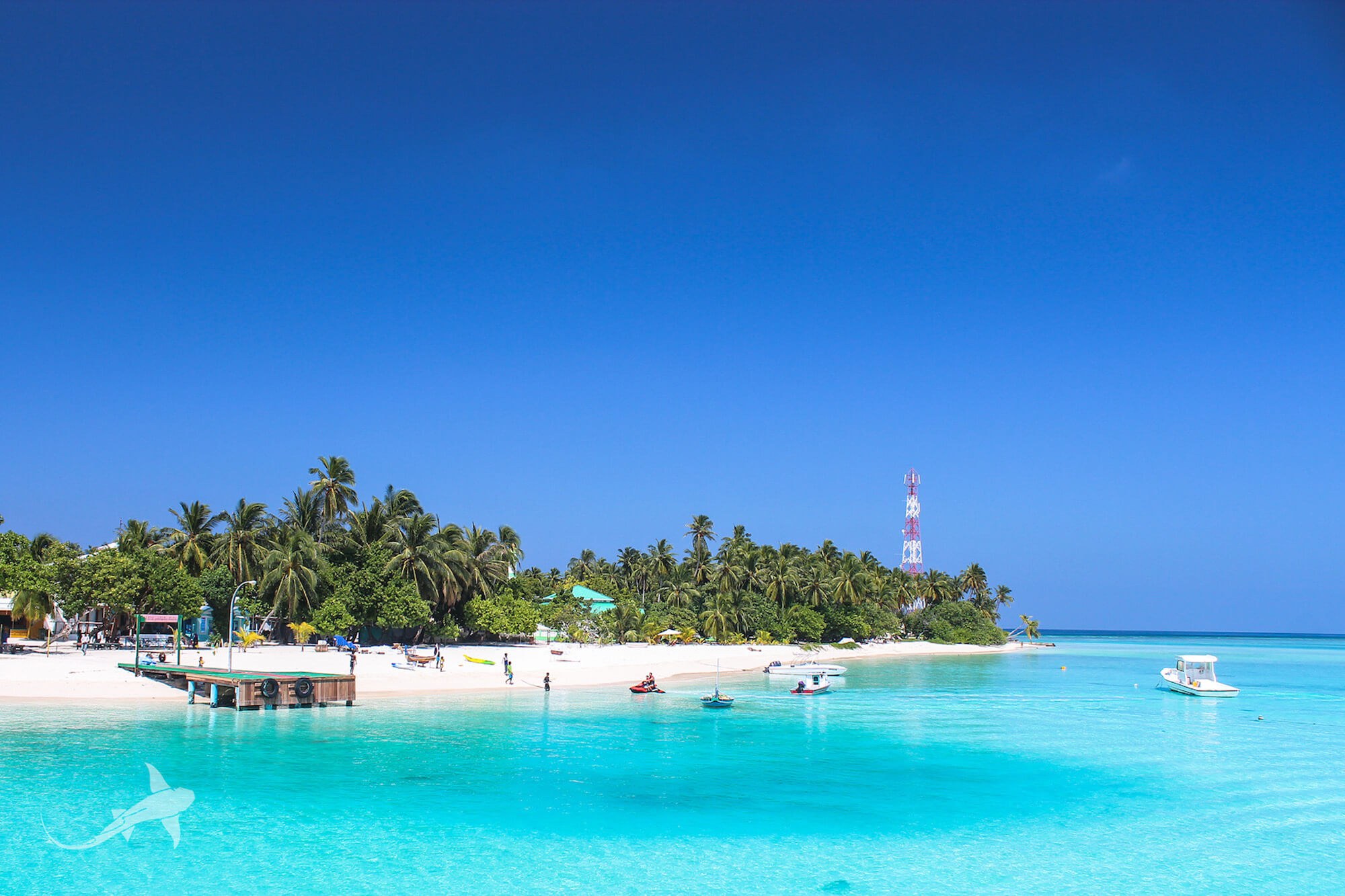 Vaavu Fulidhoo Beach View