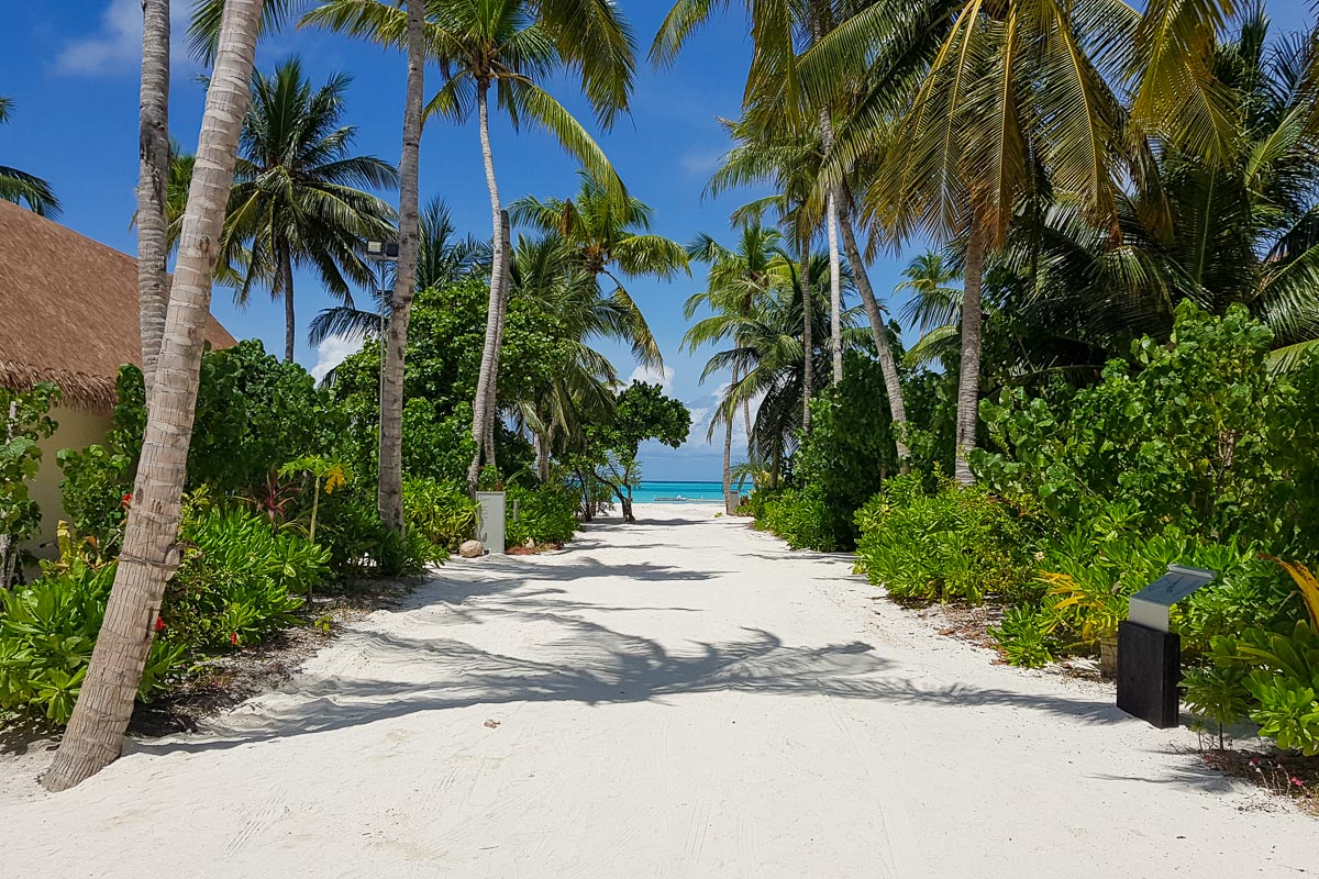 Cinnamon Velifushi Vaavu Maldives 2