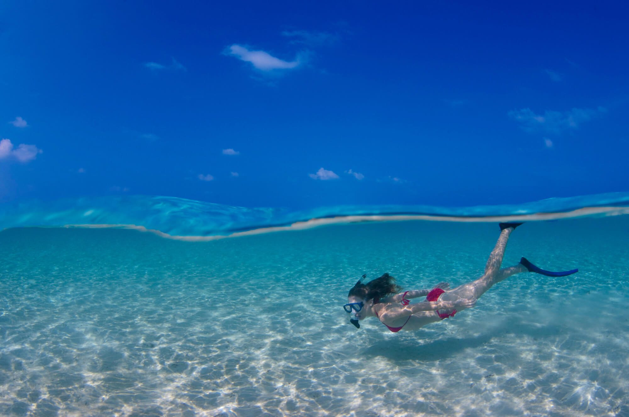 Maldives Vaavu Snorkeler Shallows