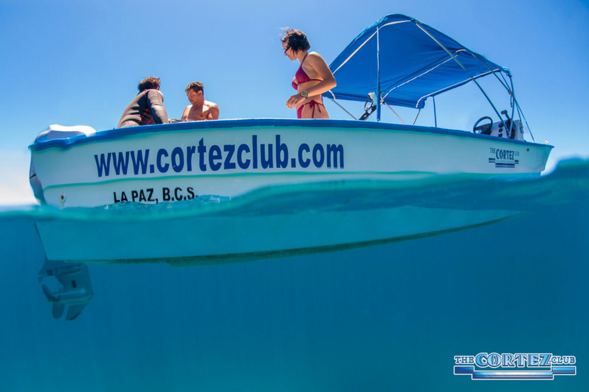 The Cortez Club La Paz Mexico 9