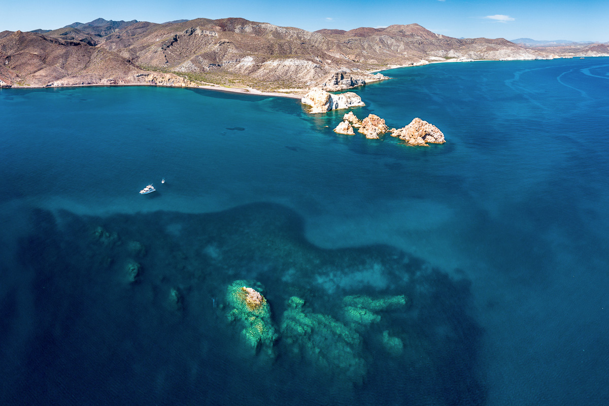 Sea Cortez Mexico Diving