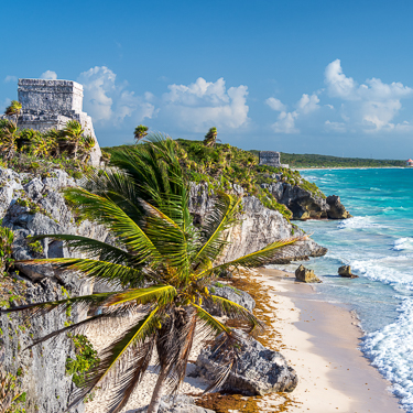 Dive the calm, clear waters of the Riviera Maya Image