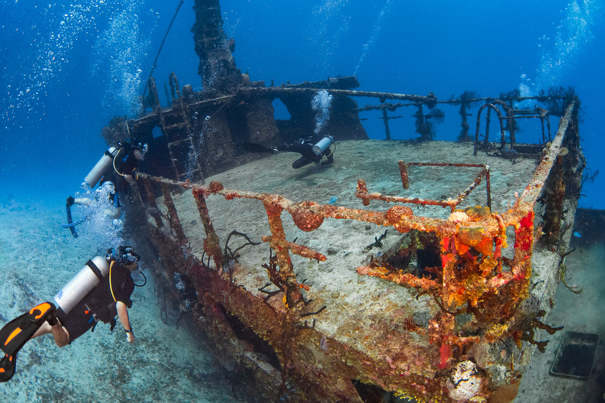 cozumel dive trips from playa del carmen