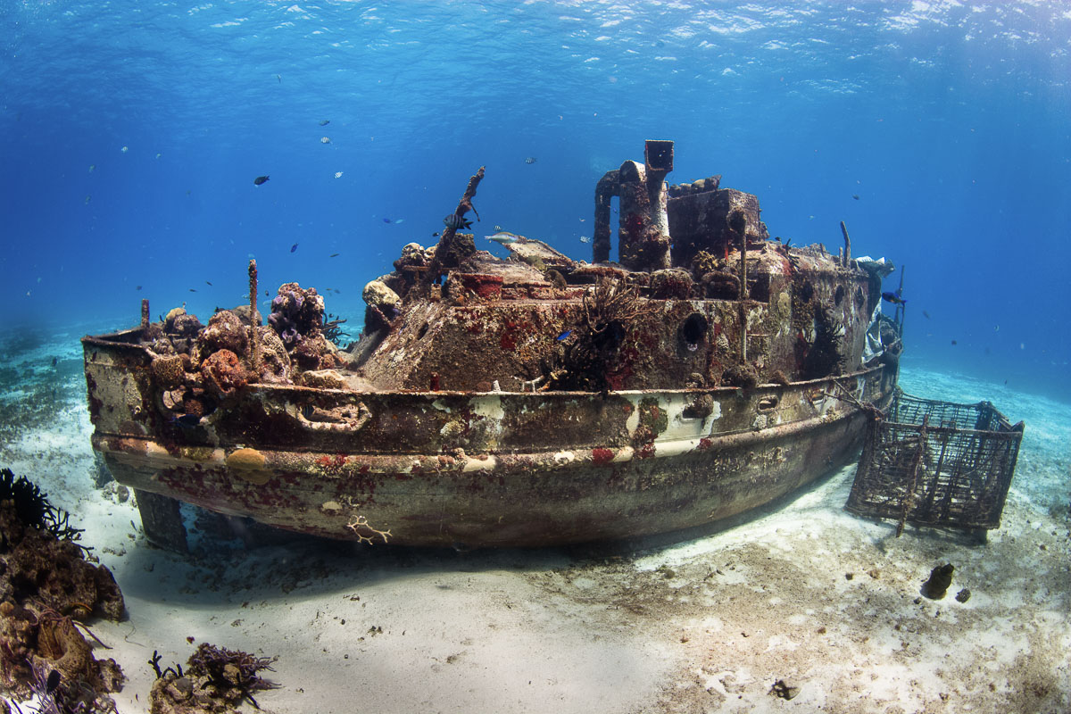 Cozumel Playa Del Carmen Scuba Diving Mexico 8