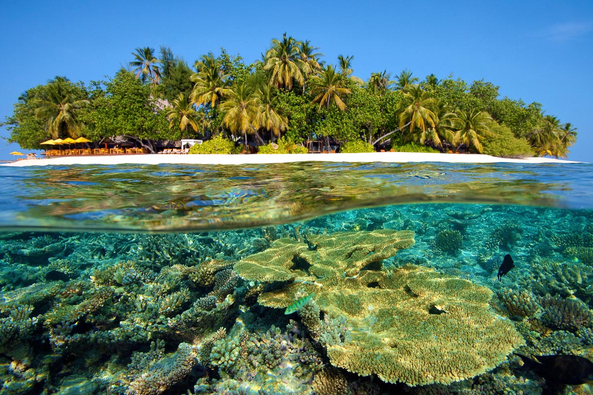 Crystal-clear lagoon water in North Male Atoll