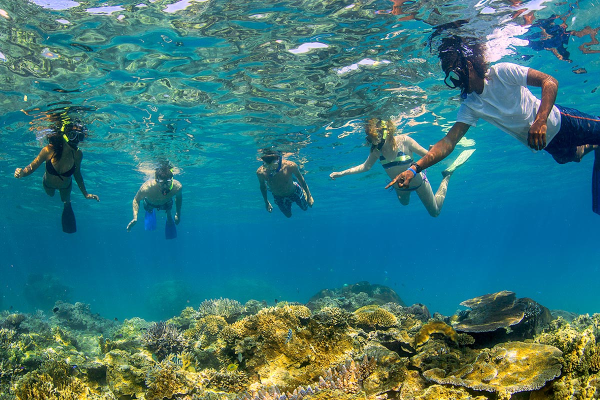 Barefoot Manta Fiji Diving 21