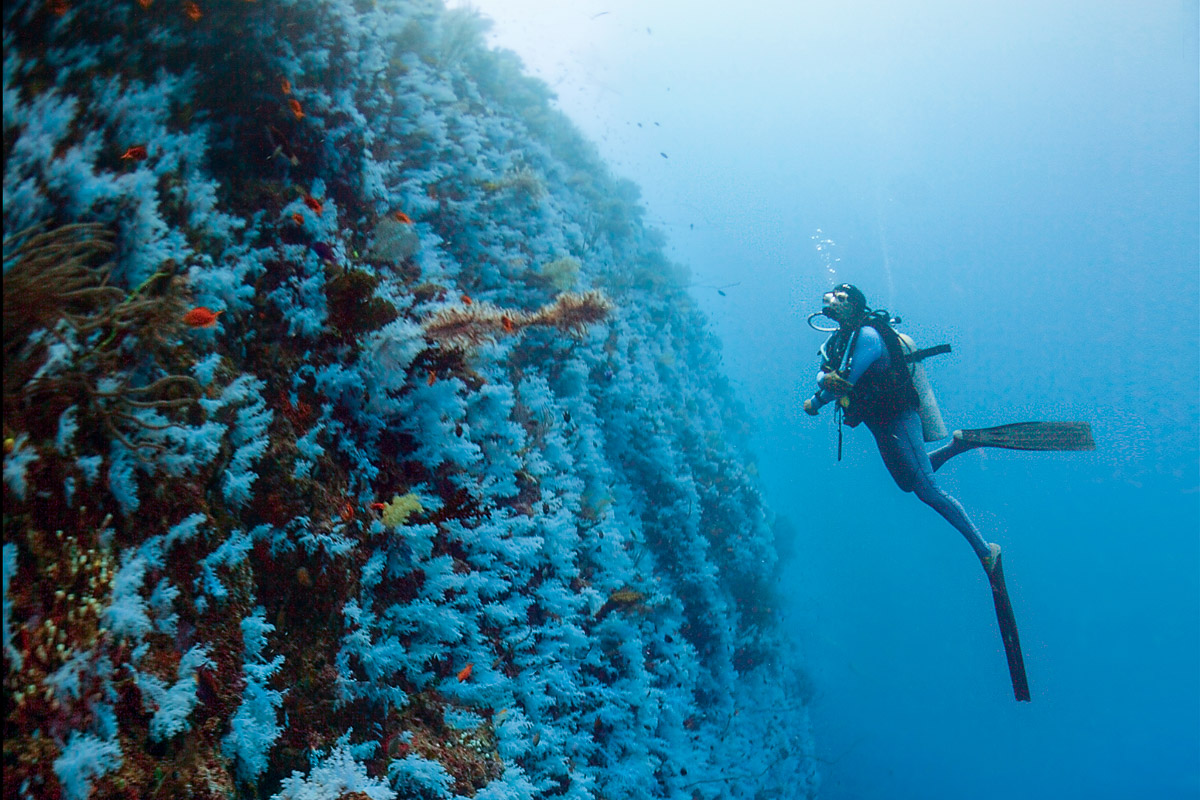 Vanua Levu Taveuni Blight Water Scuba Diving 6