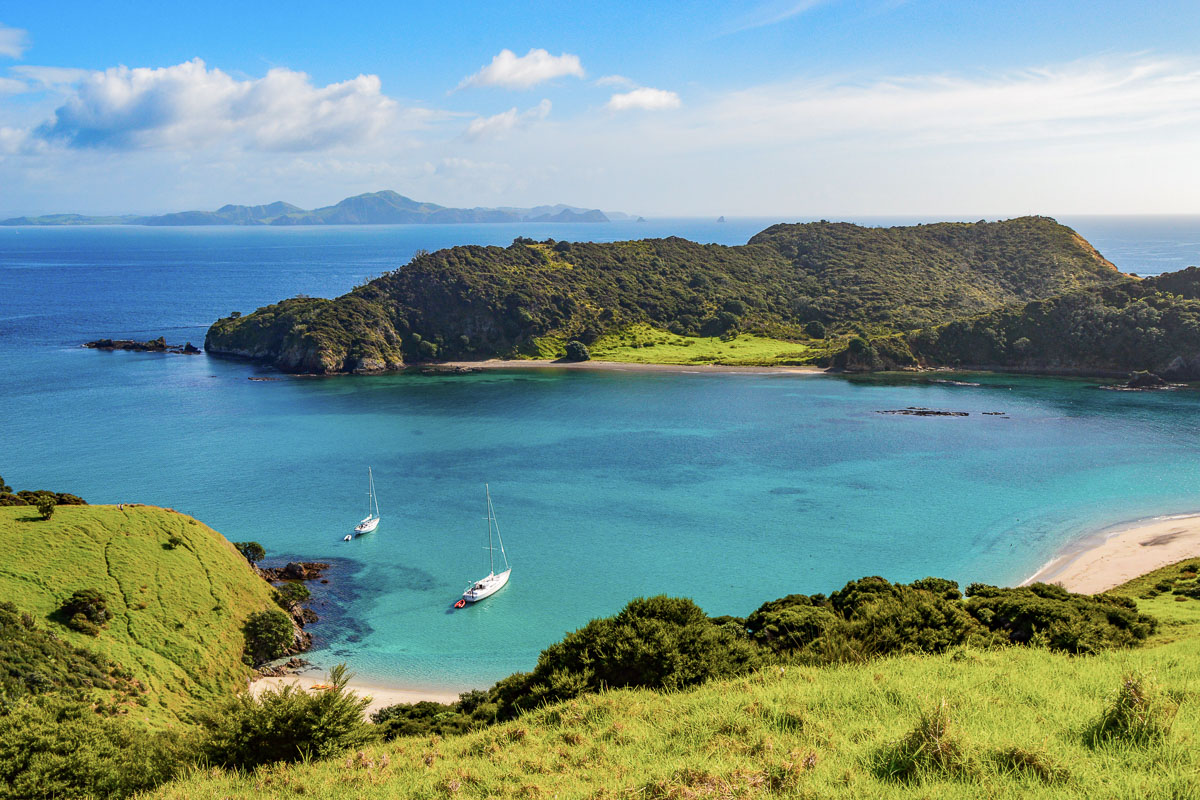 Bay Of Islands New Zealand Scuba Diving 16