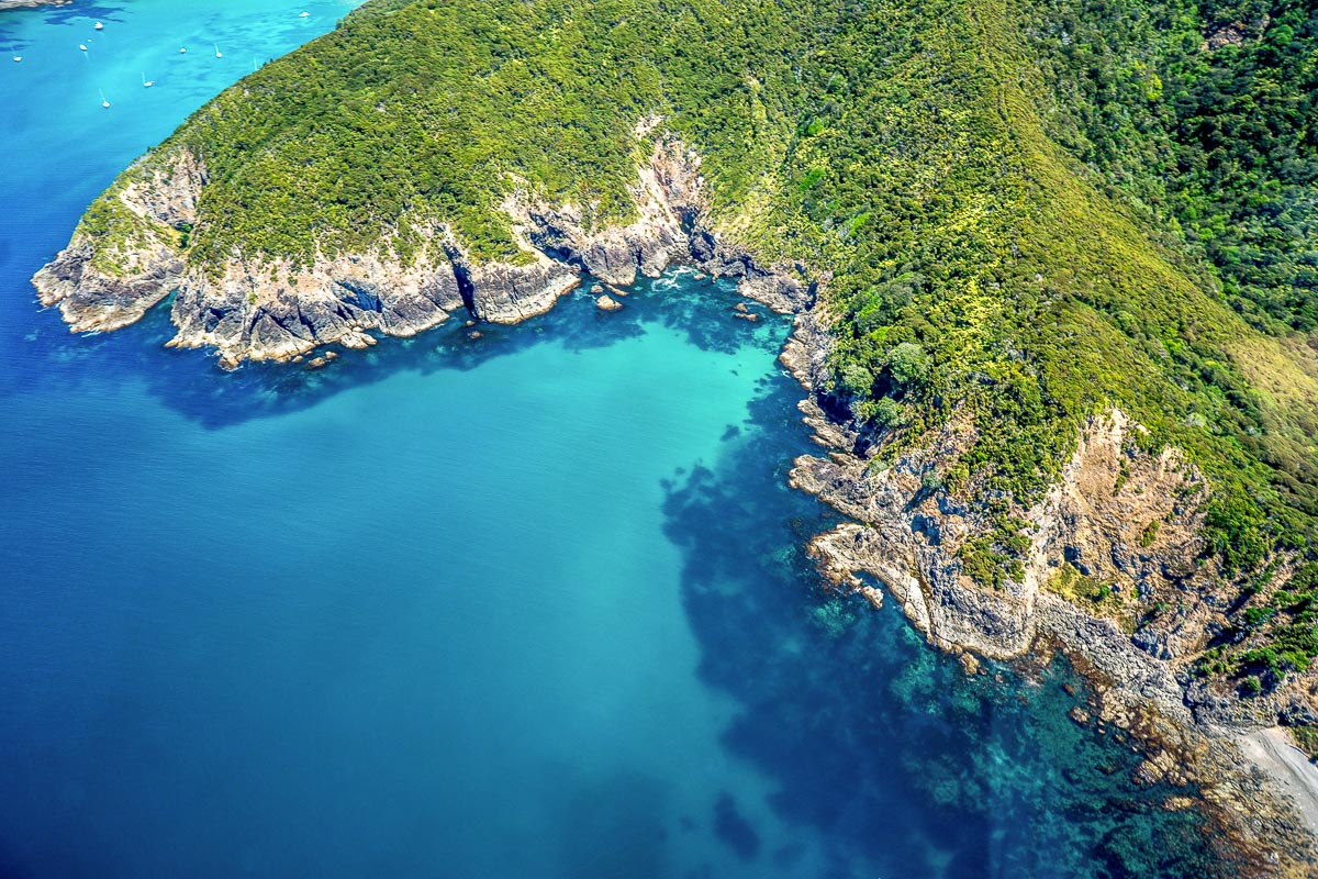 Bay Of Islands New Zealand Scuba Diving 7