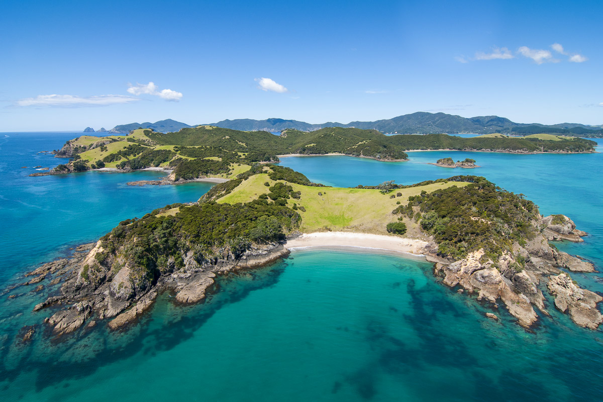 Bay Of Islands New Zealand Scuba Diving