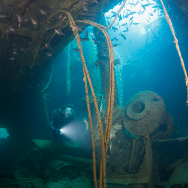 New Zealand Scuba Diving Rainbow Warrior
