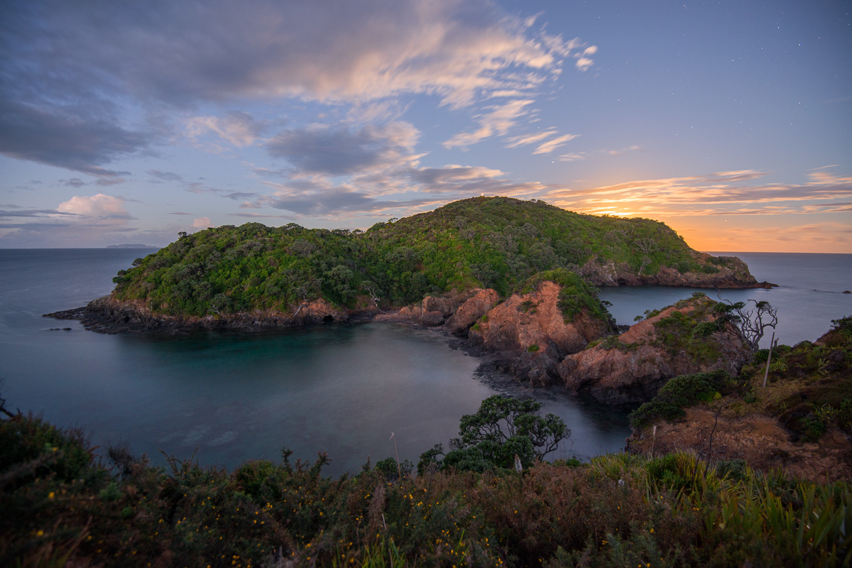 Poor Knights Islands Tutukaka New Zealand Diving 9