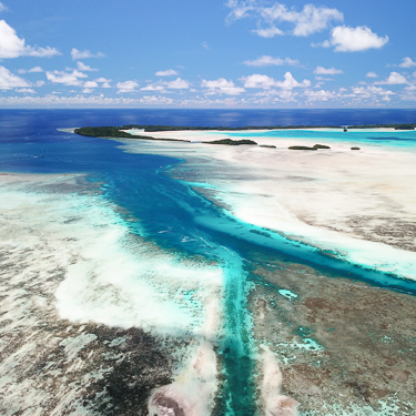 Encounter manta rays at bustling cleaning stations, Palau Image