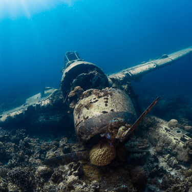 Explore sombre wartime shipwrecks, Palau Image