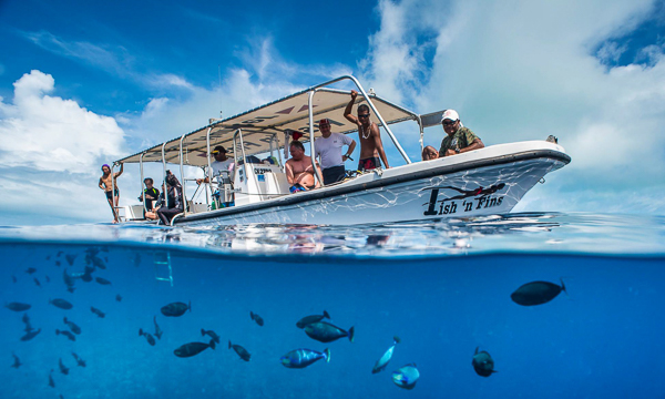 https://www.zubludiving.com/images/Pacific/Palau/FishnFins/Fish-n-Fins-Palau-thumb.jpg