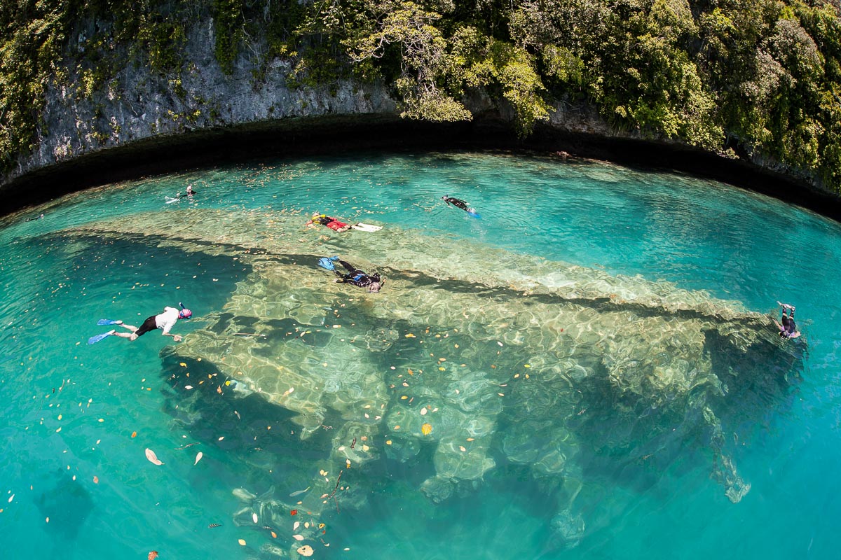 Scuba Diving In Palau ZuBlu